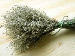 Wormwood powder helps fight parasites