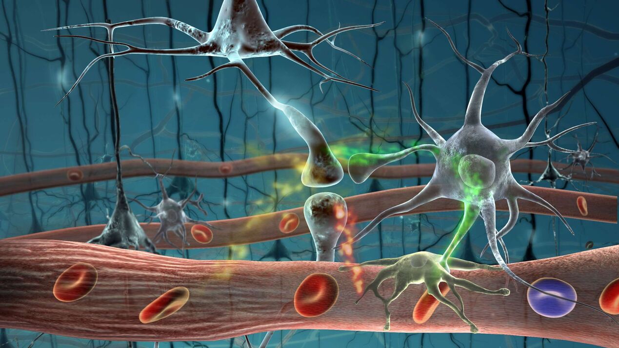 Parasite cells in the human body