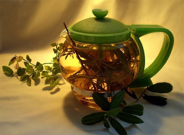 Herbal tea against parasites