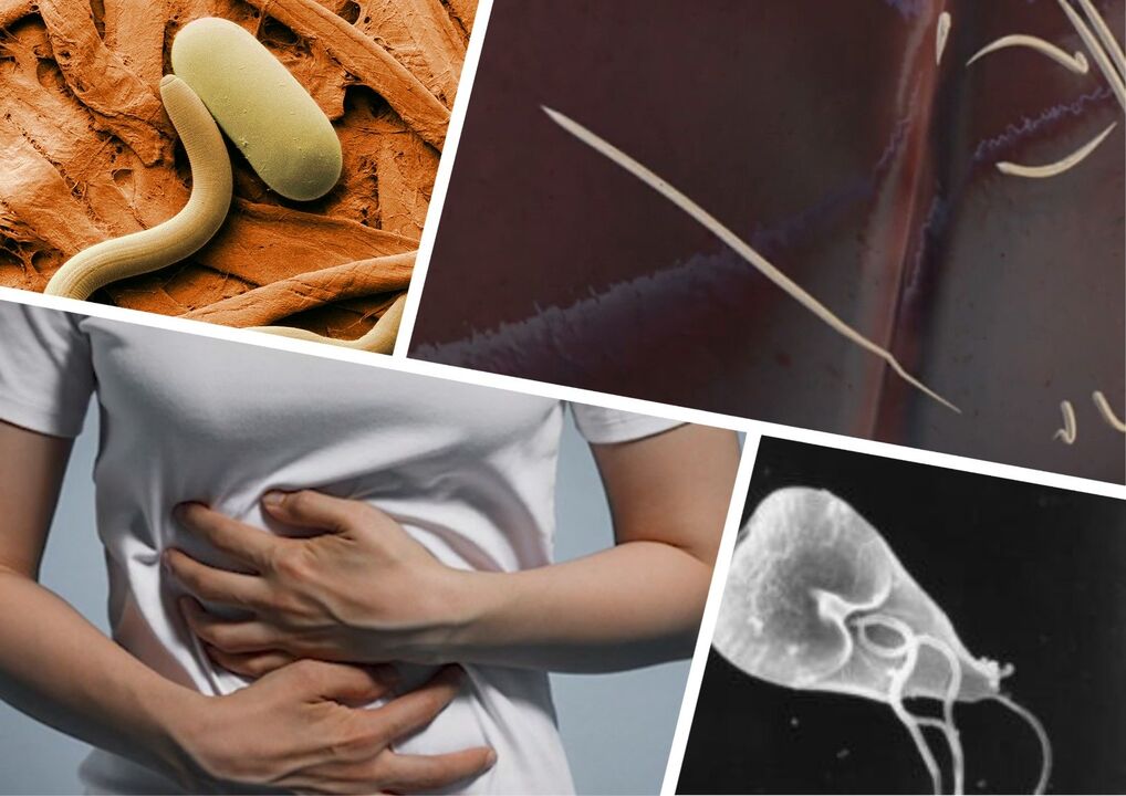 Parasites in body treatment