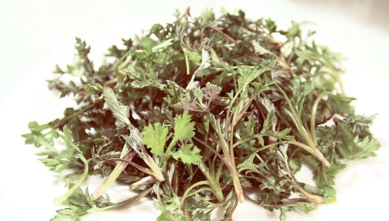 Wormwood of parasites
